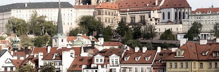 fernandaikk's profile banner image