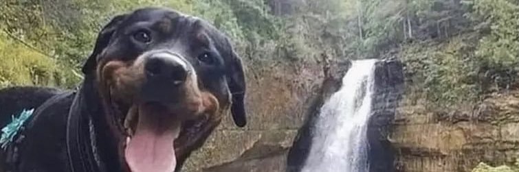 Colin2Trappy's profile banner image