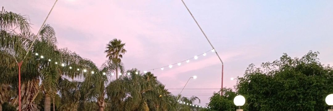 BoniniCami's profile banner image