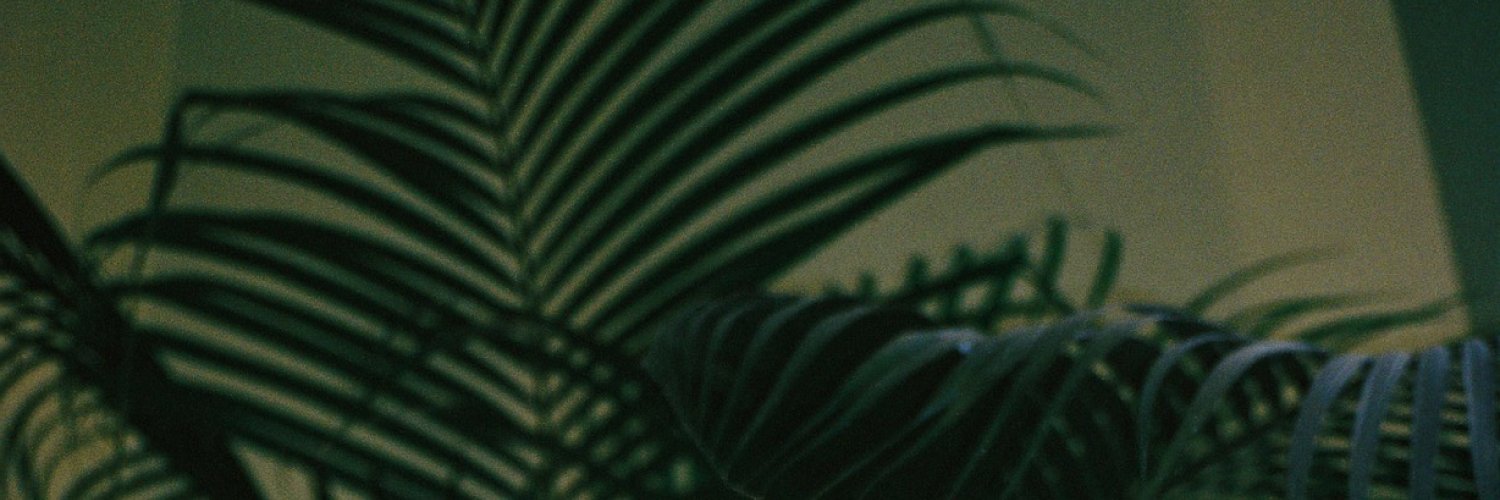 toczylowski_d's profile banner image