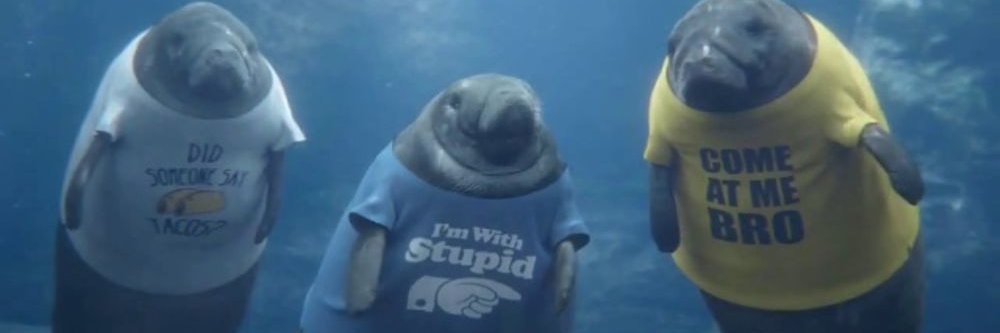 HrlManatees's profile banner image