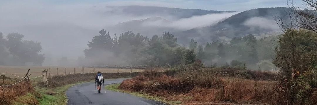 Fernando Barillas banner