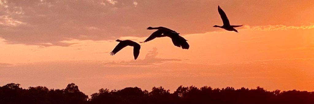 StandTogether WECC banner
