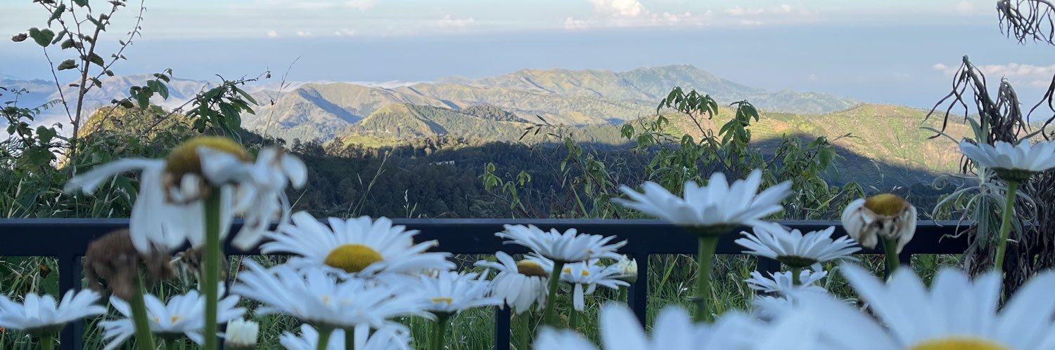 Trisnahdyti's profile banner image
