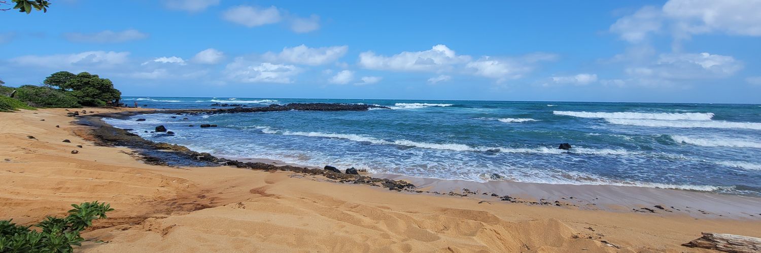 Technick (Looking For Something New) banner