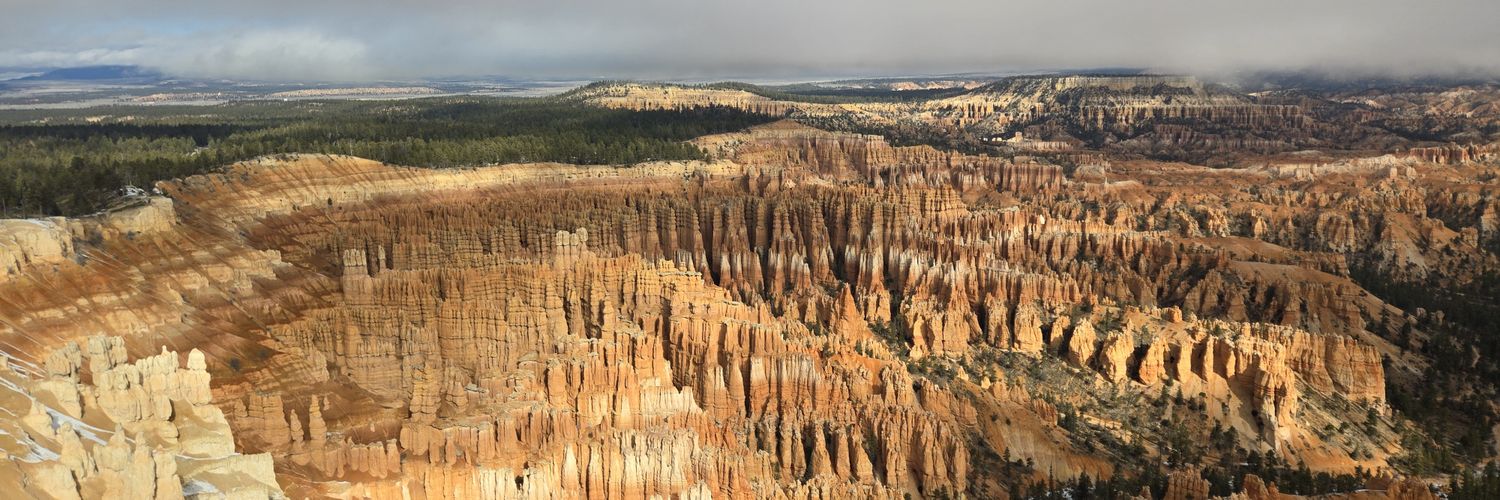 sprot.eth ✝️🇺🇲🤓🐇🕳❤️💊 banner