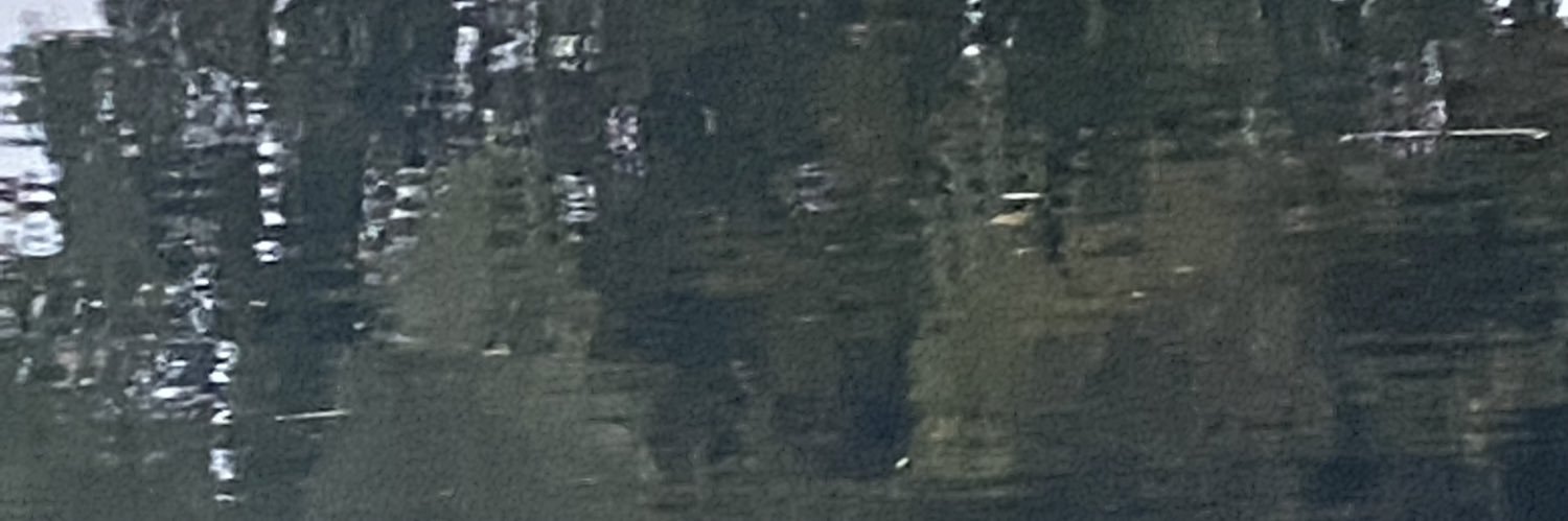 veedlo's profile banner image