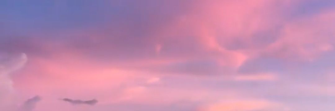 SVigiola's profile banner image