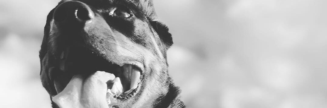 RealtorDestinie's profile banner image