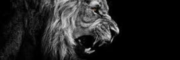 _CoachJack_ Profile Banner
