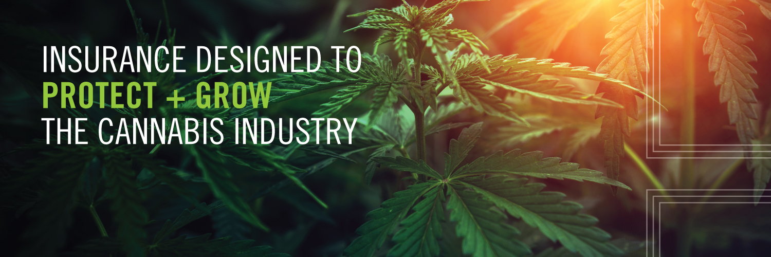 Cannasure banner