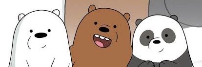 puspitaresa's profile banner image