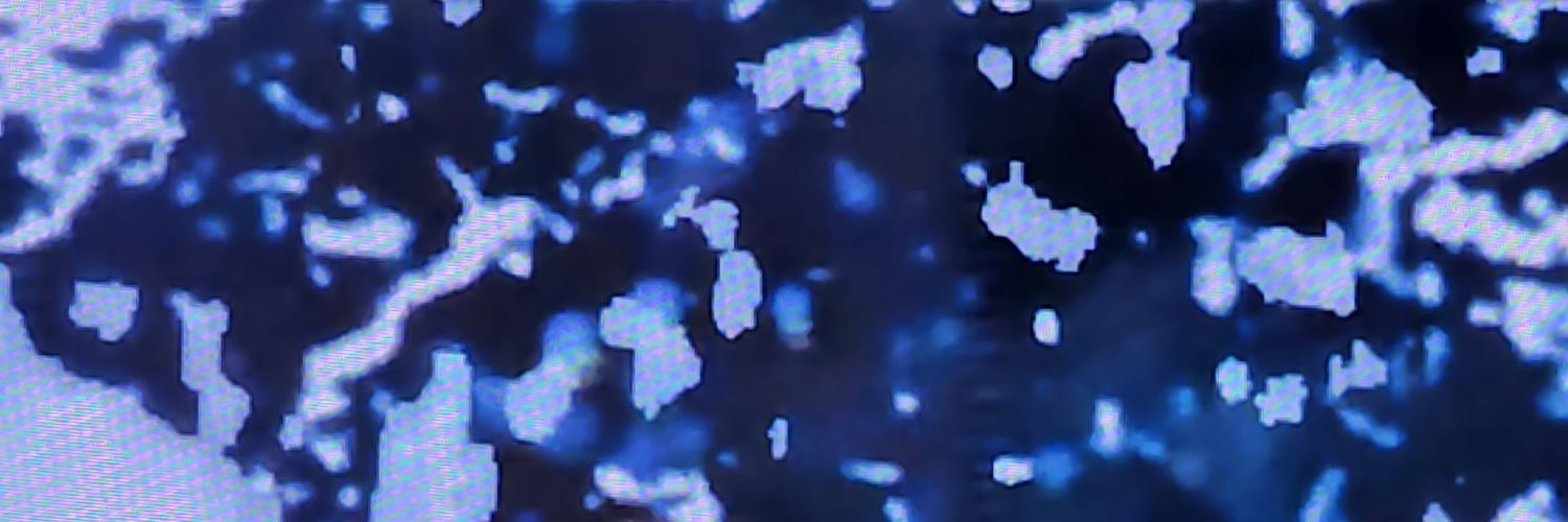 침탐 banner
