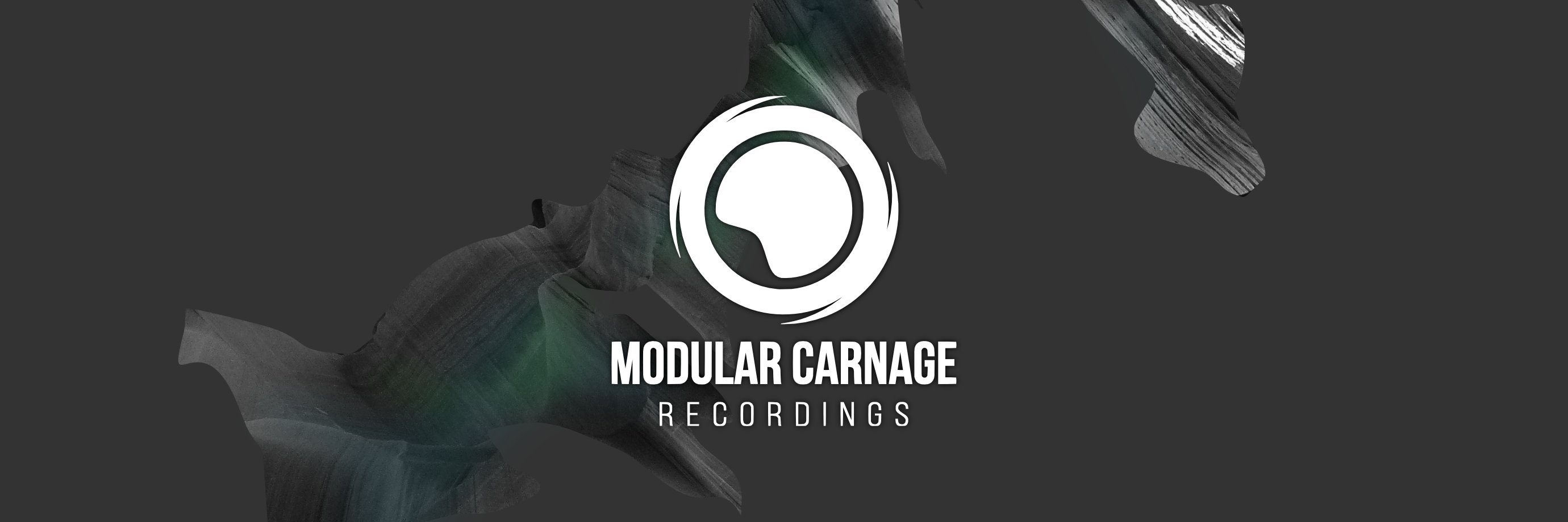 Modular Carnage banner