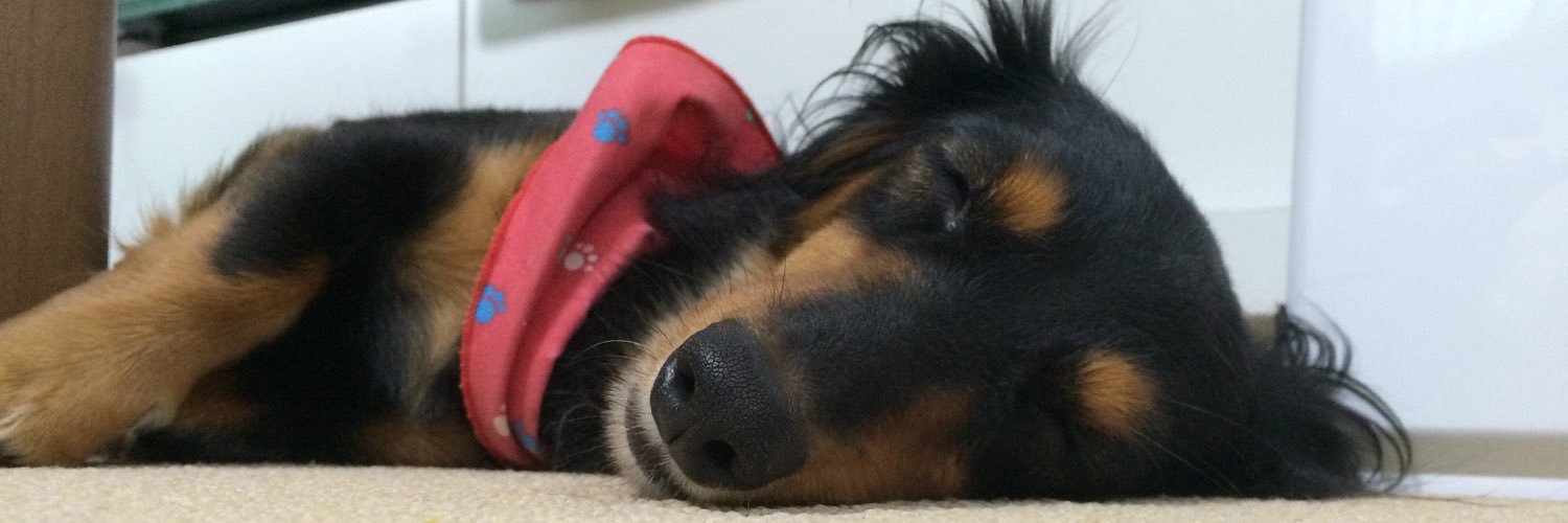 45leaf's profile banner image