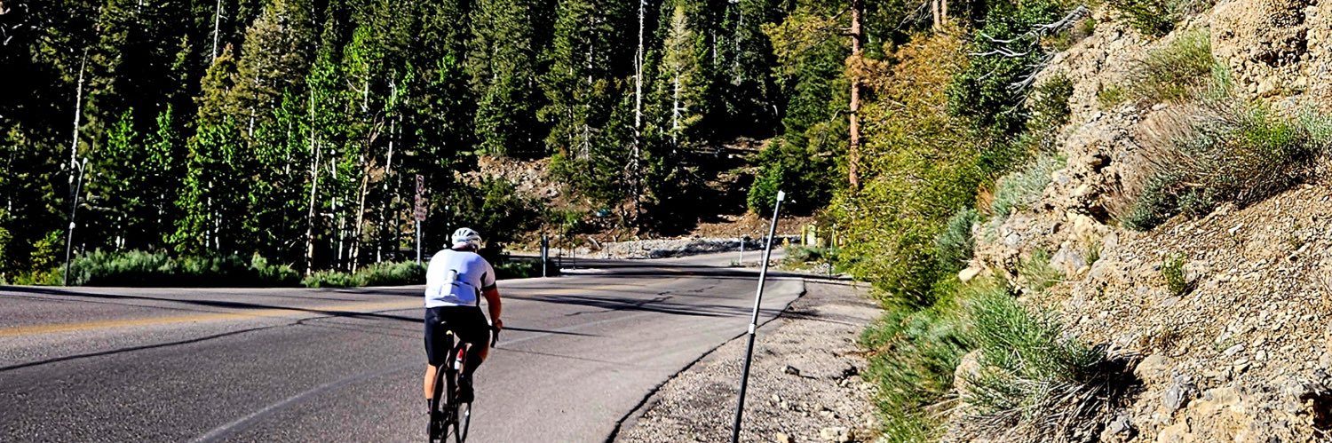 Quinn Snyder #СлаваУкраїні 🇺🇦 Stop 🇵🇸 Genocide banner