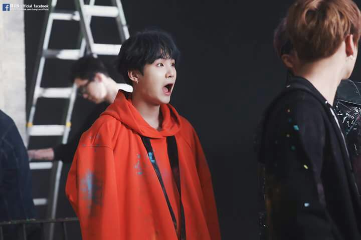 Beluu_203's profile banner image