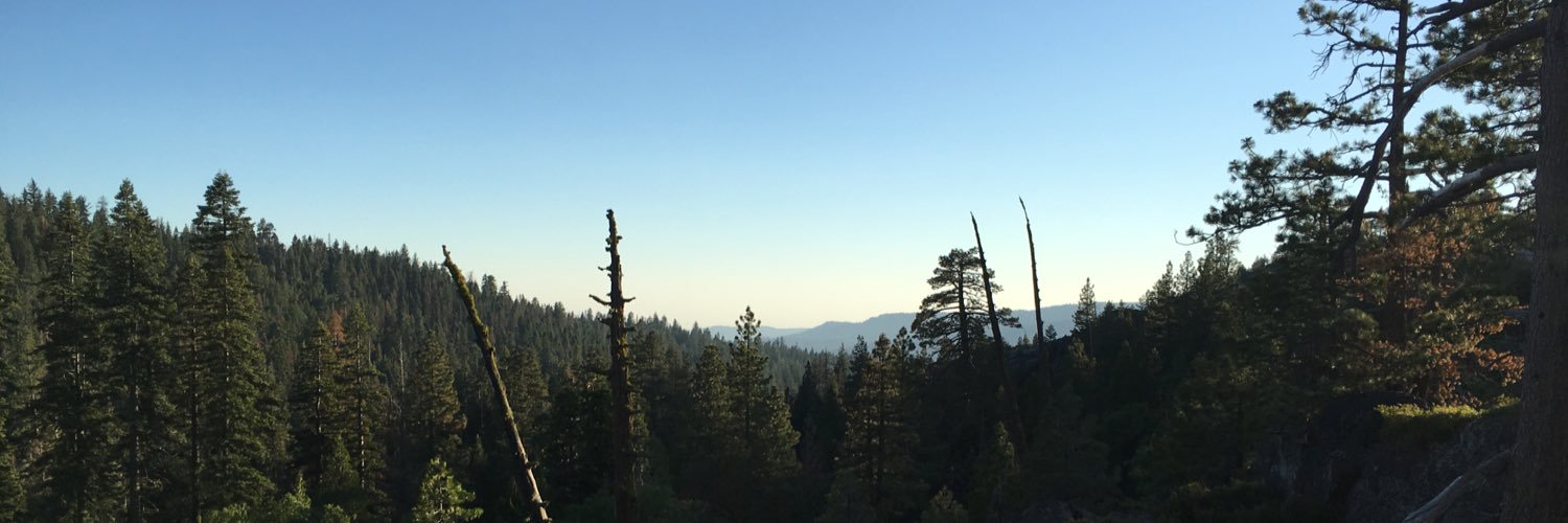 LMierop's profile banner image