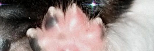 ทักทาย banner