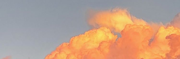 janus banner