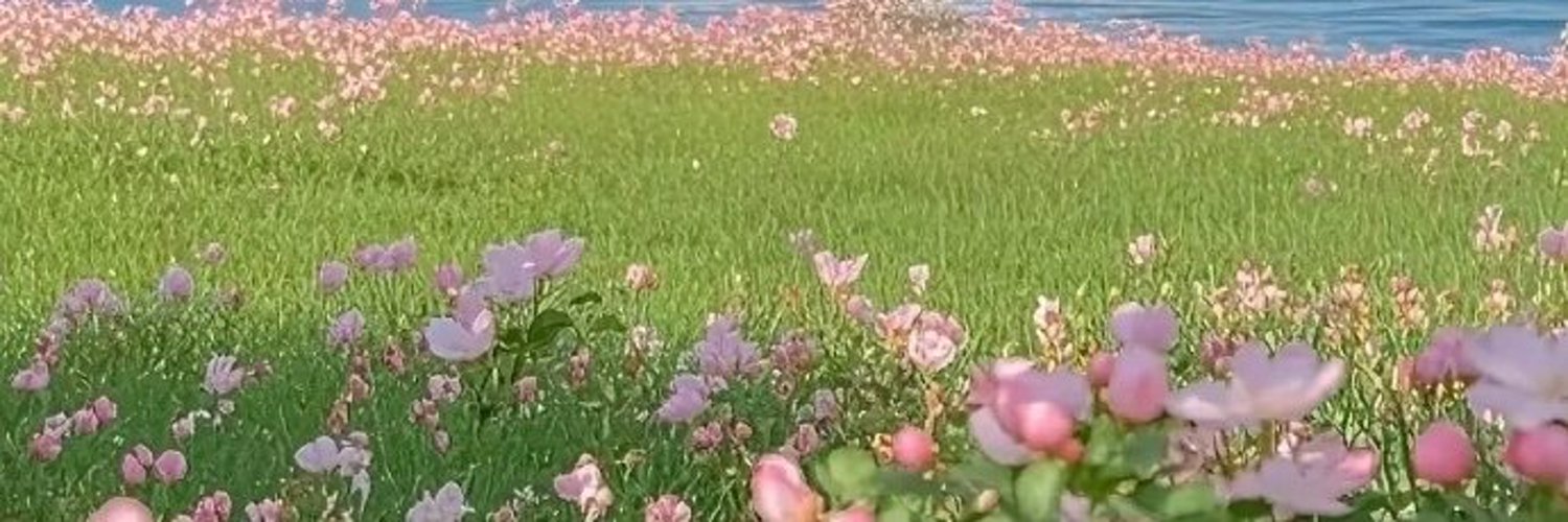 ChroniclesOfSub's profile banner image