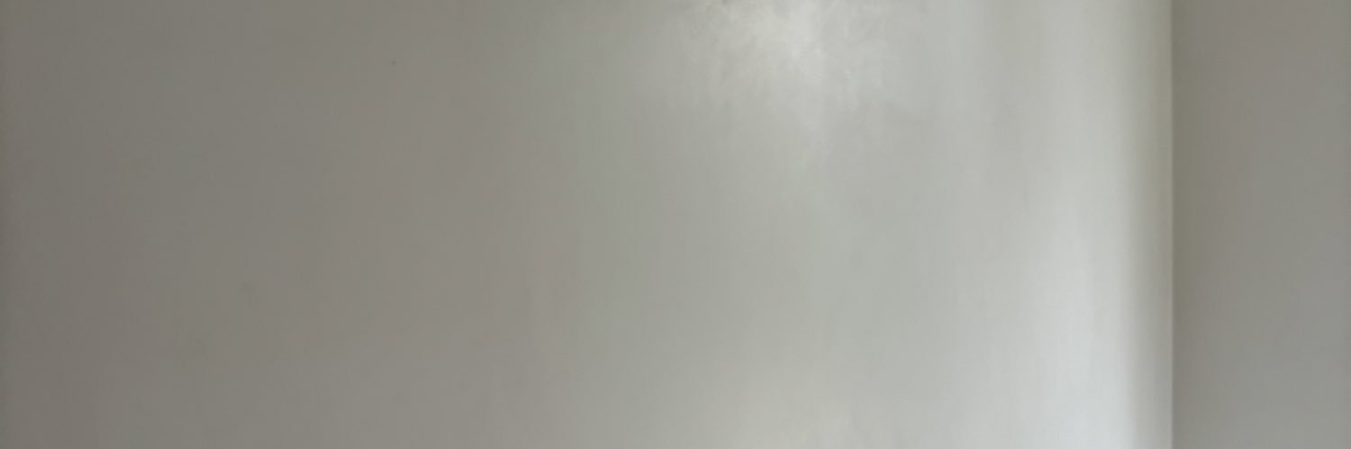 CorentinLprt's profile banner image