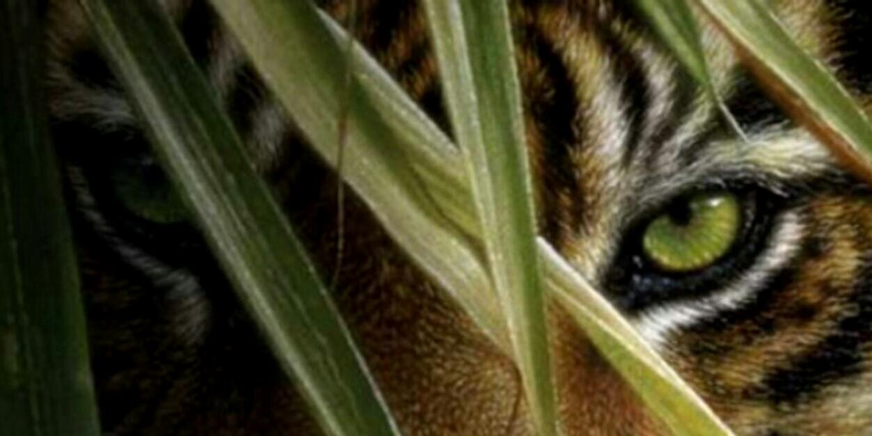 kaky2101's profile banner image