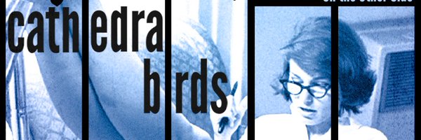 CathedralBirds Profile Banner