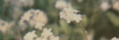 wakeupfalling's profile banner image