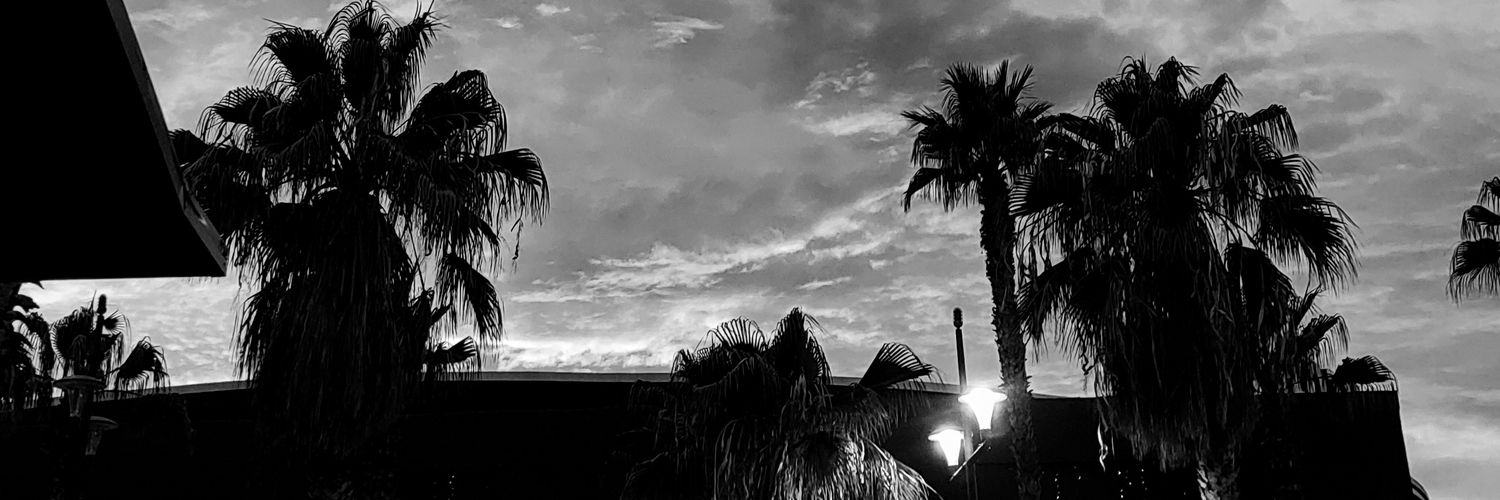 🖤 | 𝐑𝐨𝐬𝐞 𝐌𝐚𝐫𝐢𝐞 🪄 banner