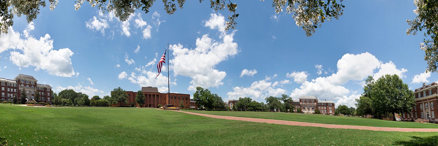 Mississippi State's banner