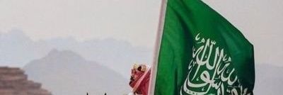 الصقر السعودي's banner