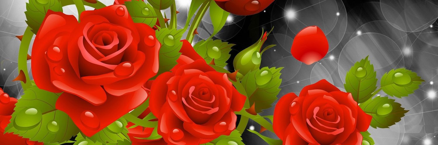 SAFIQUE ANSARI banner