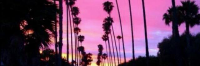 Meredith304's profile banner image