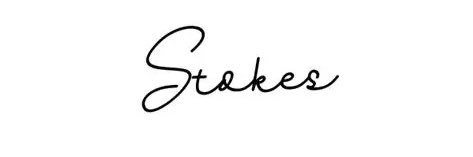 Donald Stokes banner