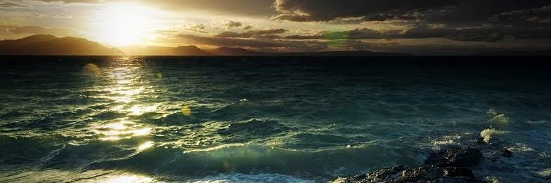 chayan_1996's profile banner image