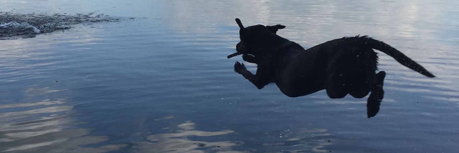 mikebenellim1's profile banner image