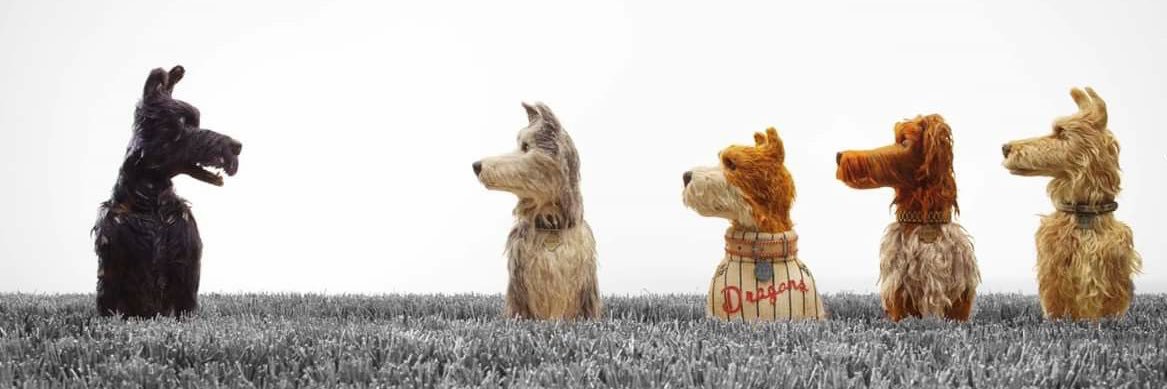 julia zeppeli banner