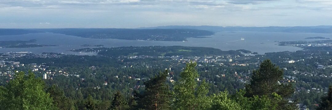 Are Martin Holm banner