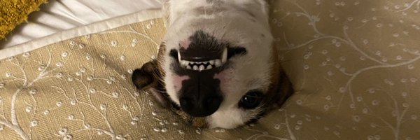 gintonixx2 Profile Banner