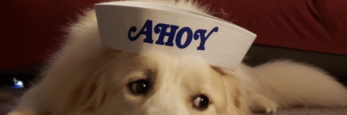 CaP10KruncH's profile banner image