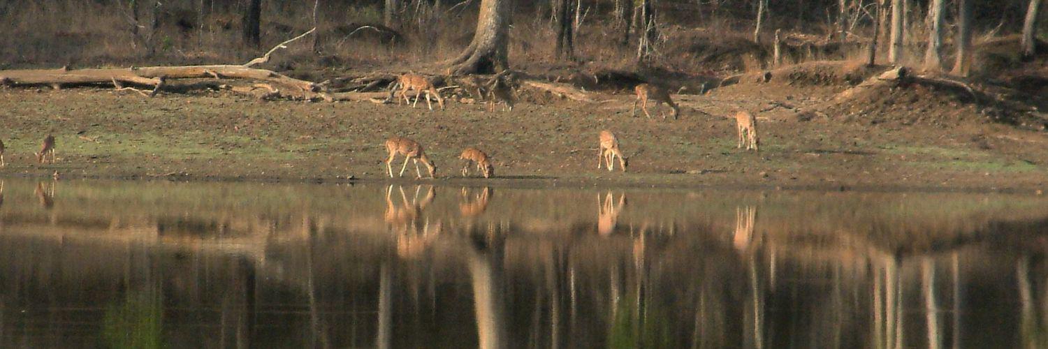 nandan4v's profile banner image