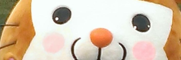 gomasaars's profile banner image