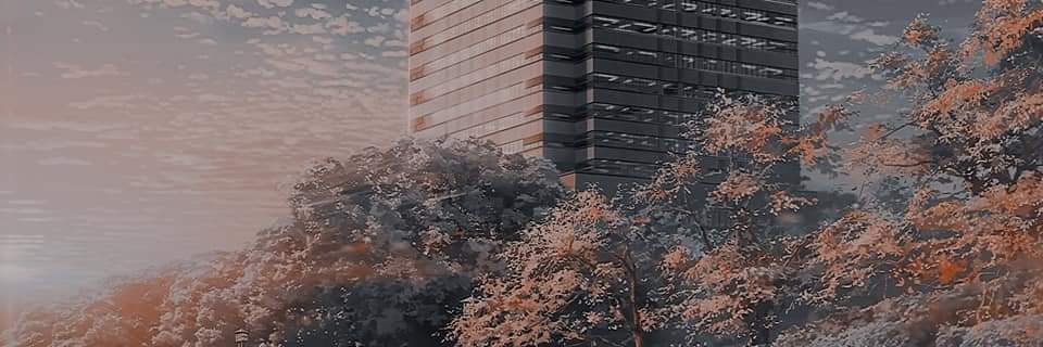 Beckenmb's profile banner image