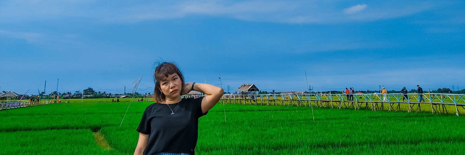 vanieew's profile banner image