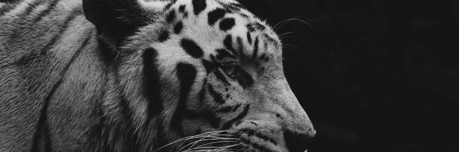 eminbeyy61's profile banner image