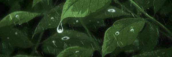 RouxsToes Profile Banner