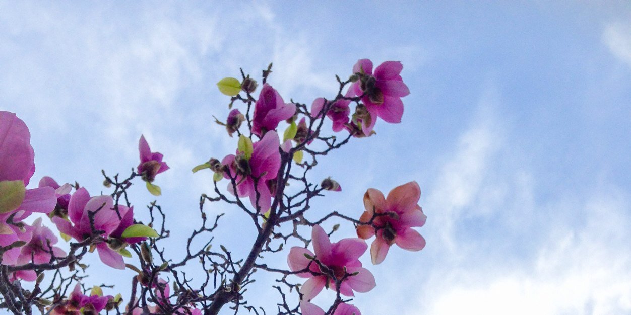 ms_tashina's profile banner image