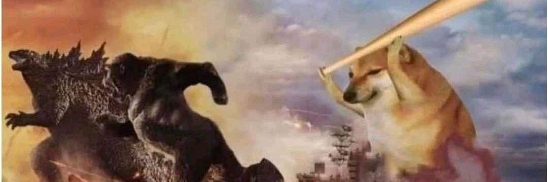 DogeRe𝕏 🦖 banner