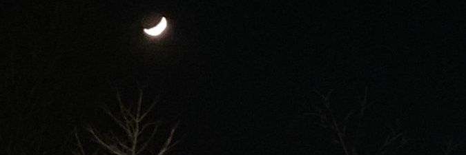 anaqlate's profile banner image